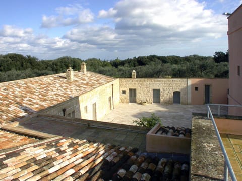 Property building, Garden view