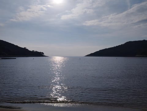 Apartments Feral Apartment in Korita, Mljet