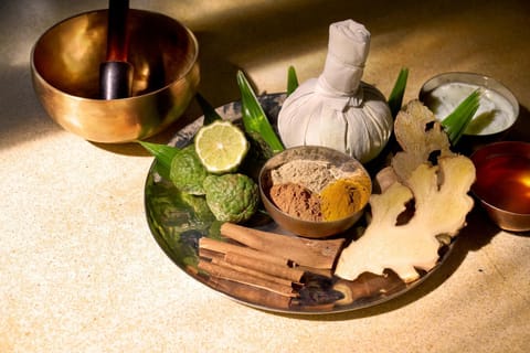 Spa and wellness centre/facilities