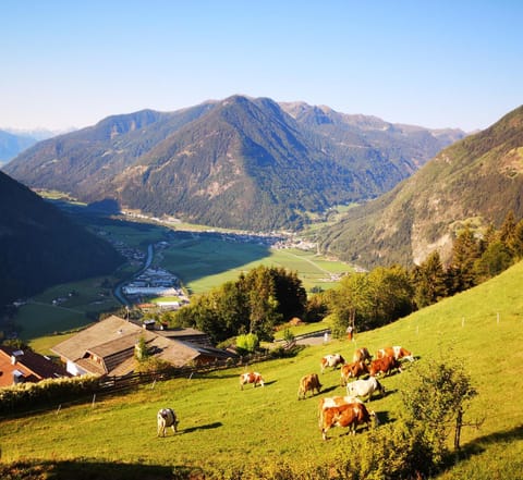 Aussermairhof Farm Stay in Trentino-South Tyrol