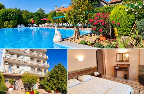 Property building, Patio, Day, Garden, Garden view, Pool view, sunbed