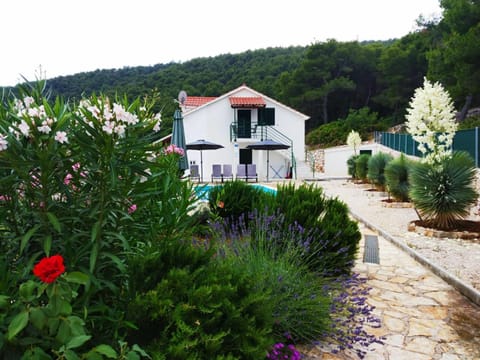 Property building, Garden, Garden