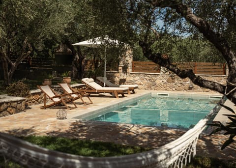 Garden, Garden, Swimming pool, Swimming pool