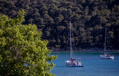 Apartments Korina 2866 Apartment in Supetarska Draga