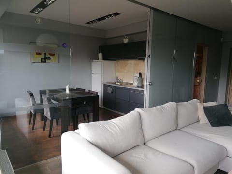 Central Druskininkai Apartment Apartment in Lithuania