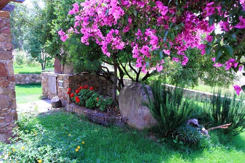 Property building, BBQ facilities