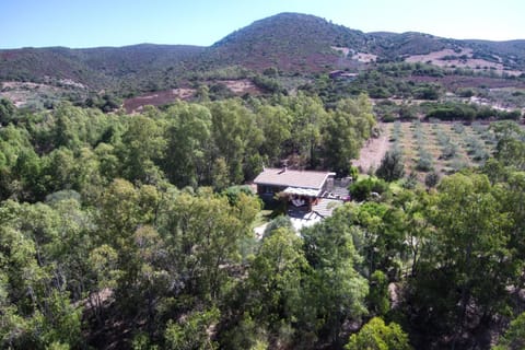 Bird's eye view, Garden
