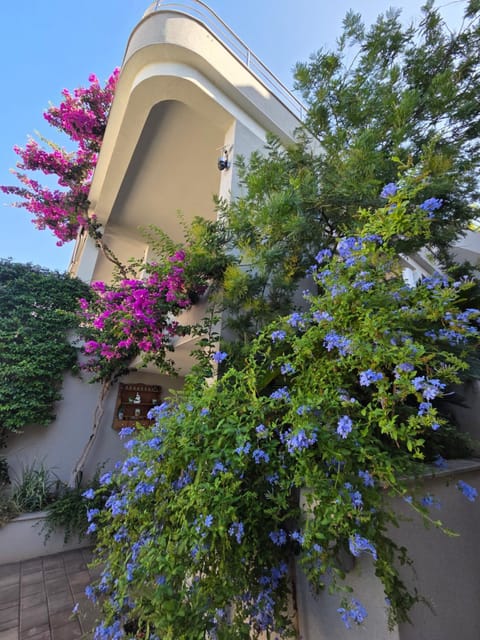 Apartmani Marinović Apartment in Split-Dalmatia County