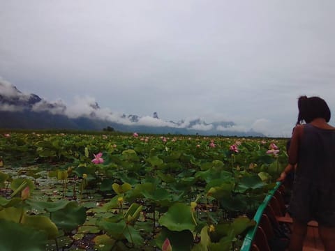 Natural landscape, Activities