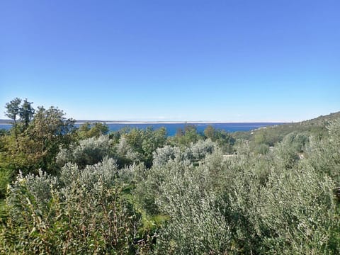 Natural landscape, View (from property/room)