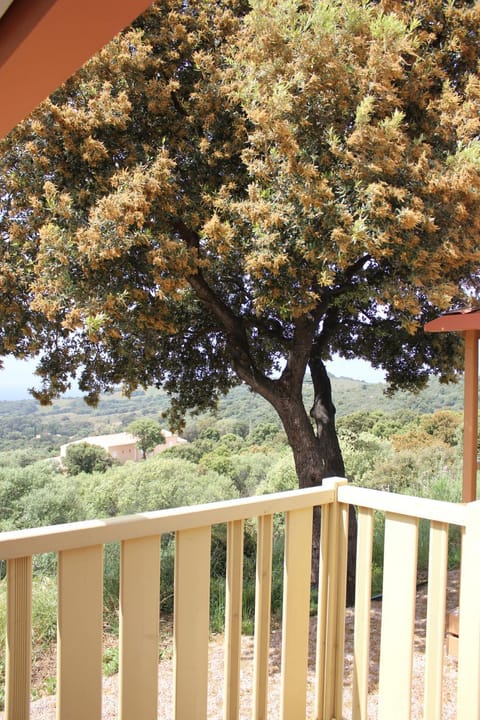 Day, Balcony/Terrace