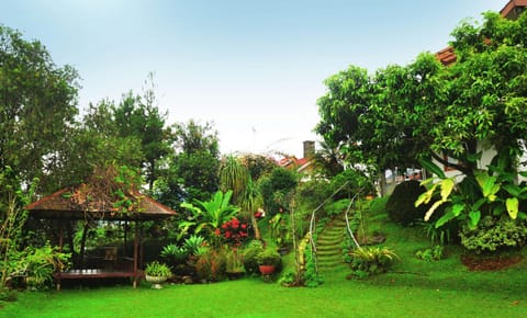 Garden, Other, Garden view