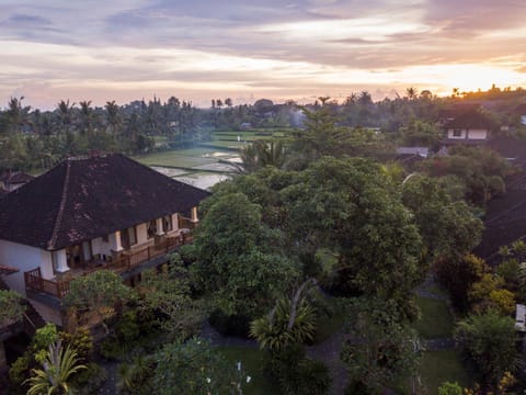 Bird's eye view, Landmark view