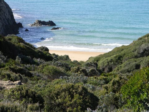 Nearby landmark, Natural landscape, Beach