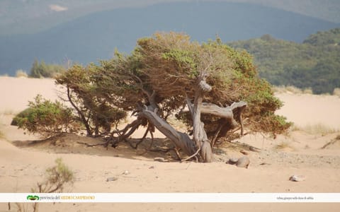 Nearby landmark, Natural landscape, Beach