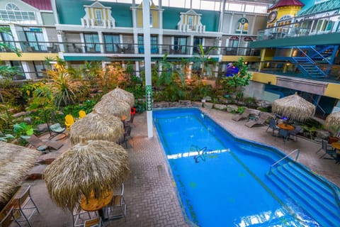 Garden, Garden view, Pool view, Swimming pool