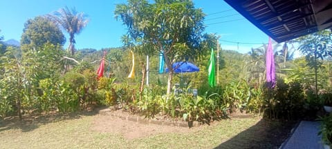 Spring, Day, Natural landscape, Garden, Garden view