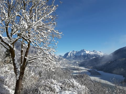 Winter, Garden, Garden view, Lake view, Mountain view