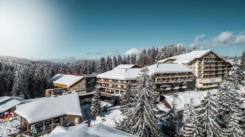 Property building, Facade/entrance, Day, Natural landscape, Bird's eye view, Winter, Mountain view