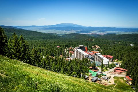 Spring, Day, Bird's eye view, Summer, Autumn