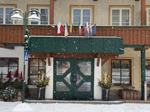 ALPINA Appartements Mallnitz Apartment in Carinthia, Austria