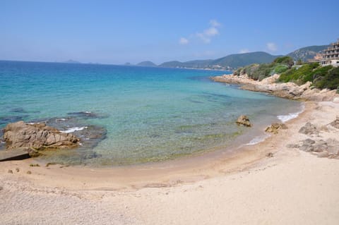 Natural landscape, Area and facilities