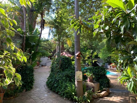 The Little Hideaway Guesthouse Bed and Breakfast in Stellenbosch