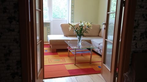 Living room, Photo of the whole room