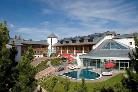 Day, Summer, Garden, Area and facilities, Swimming pool