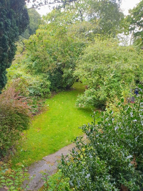 Garden, Autumn, Garden view