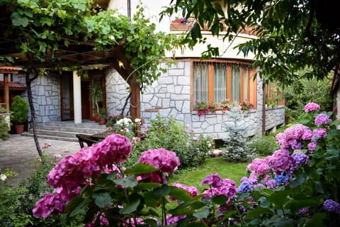 Lina Hotel Hotel in Bansko