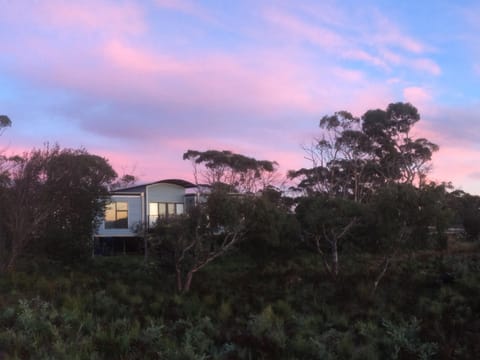 Garden, Garden view, Sunrise