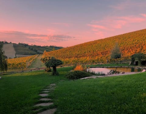 Corte D'Aibo Farm Stay in Emilia-Romagna