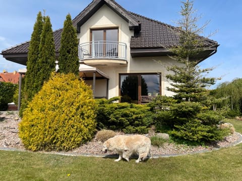 Rewska Przystań - Dom z balią ogrodową i sauną House in Pomeranian Voivodeship