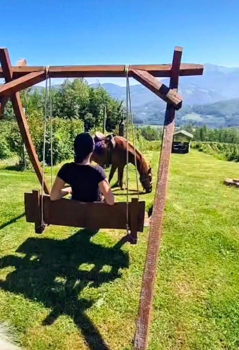 Activities, Garden view, Inner courtyard view