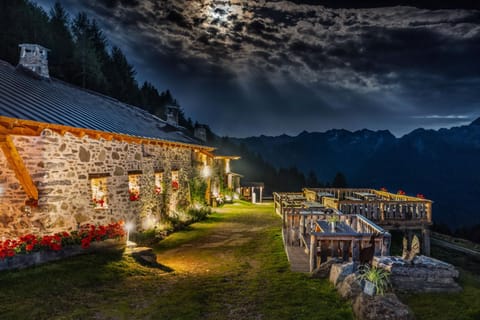 Property building, Night, Garden