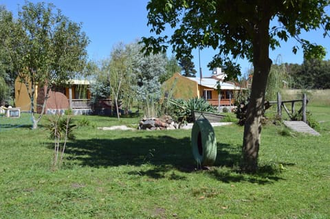 Patio, Patio, Garden, Garden, Garden view