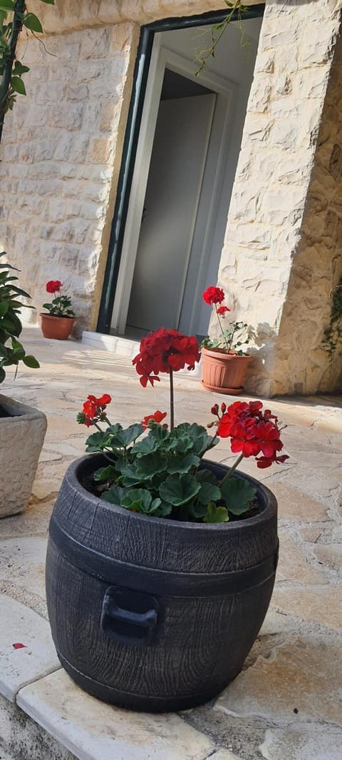 Holiday home Jakov House in Šibenik-Knin County, Croatia