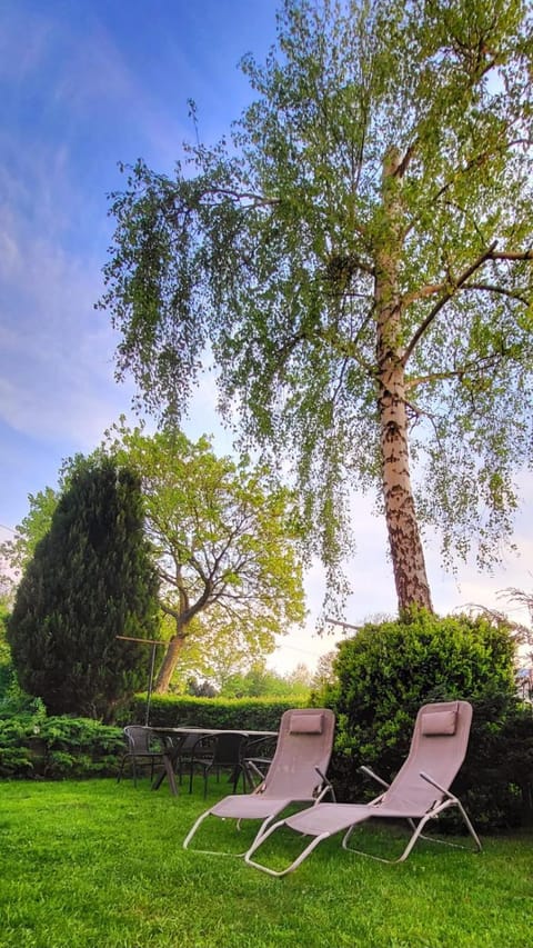 Natural landscape, Garden, sunbed