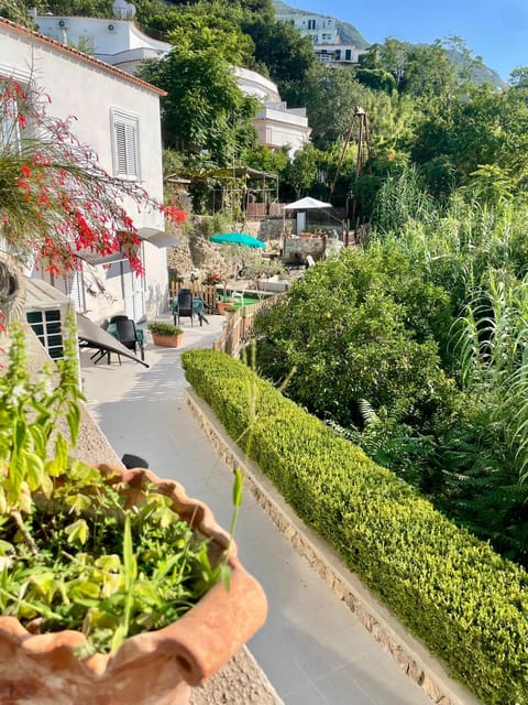 Property building, Garden, Garden view