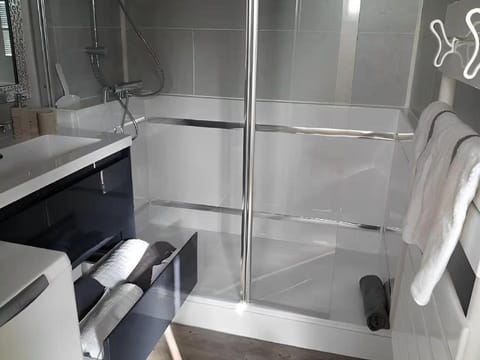 Champoiseau House in Tours