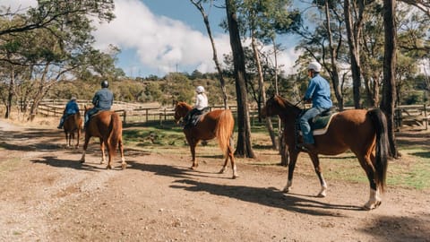 Activities, Horse-riding