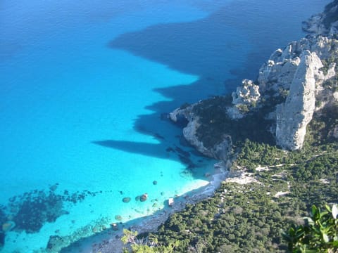 Day, Natural landscape