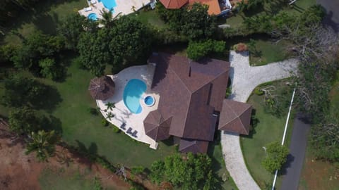 Day, Bird's eye view
