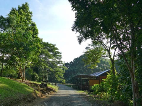 Property building, Facade/entrance, Natural landscape