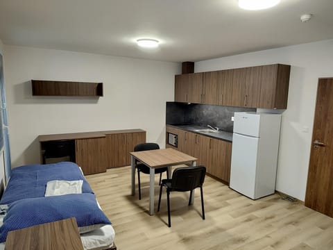 Kitchen or kitchenette, Bedroom