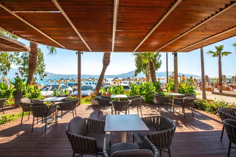 Restaurant/places to eat, Sea view