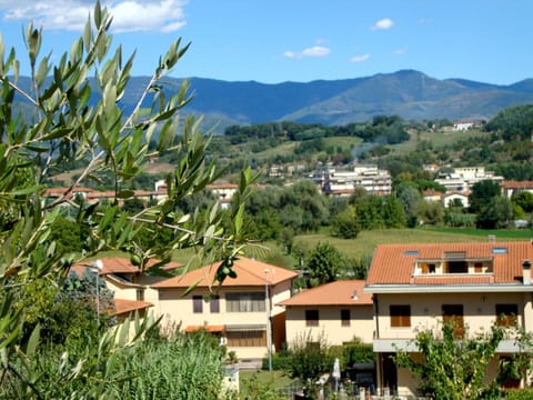 Natural landscape, On site, Landmark view