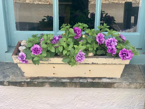 Sea Haze Charlestown House in Saint Austell