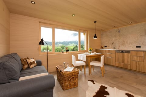 Living room, Seating area, Mountain view